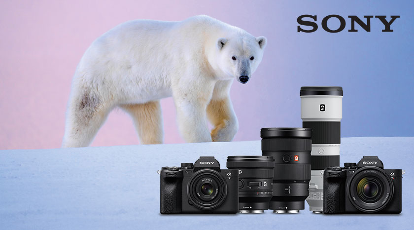 Sony Winter Cashback